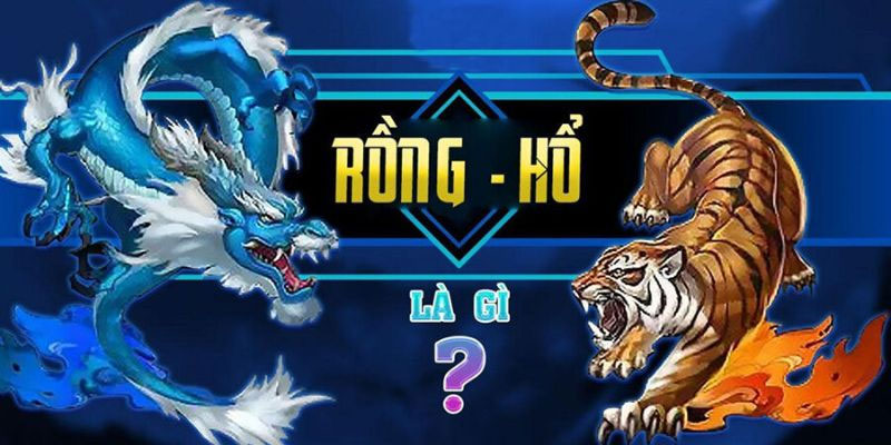 Rồng hổ là gì?