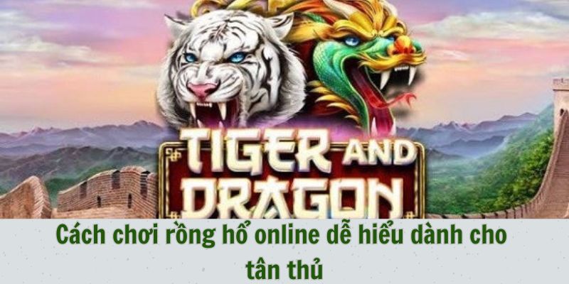 Cách chơi rồng hổ online dễ hiểu dành cho tân thủ