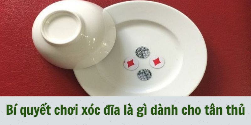 Bí quyết chơi xóc đĩa là gì dành cho tân thủ